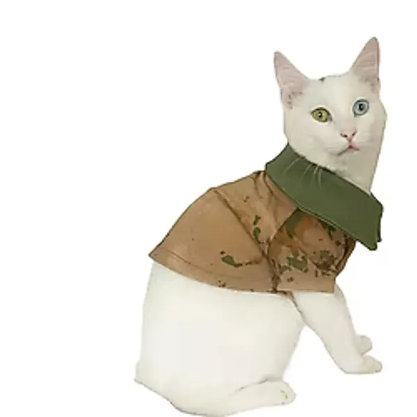 Komando Polo Yaka Tişört Kedi Kıyafeti Kedi Elbisesi