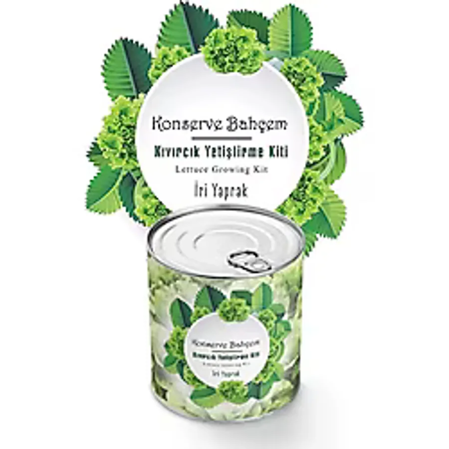 Konserve Bahcem Evde Konservede Iri Yaprakli Kivircik Yetistirme Kiti