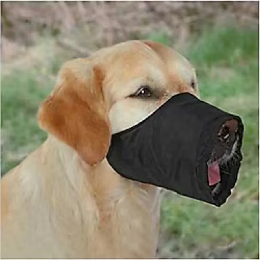 Köpek Ağızlığı Siyah 20 Cm S-M