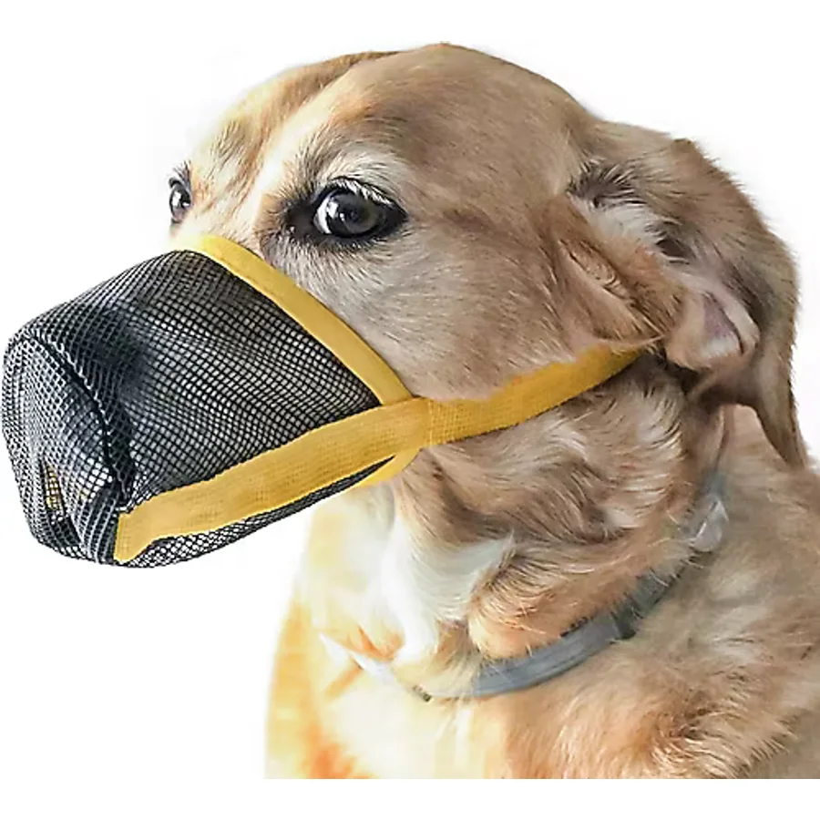 Köpek Ağızlık Tulok Ayarlanabilir