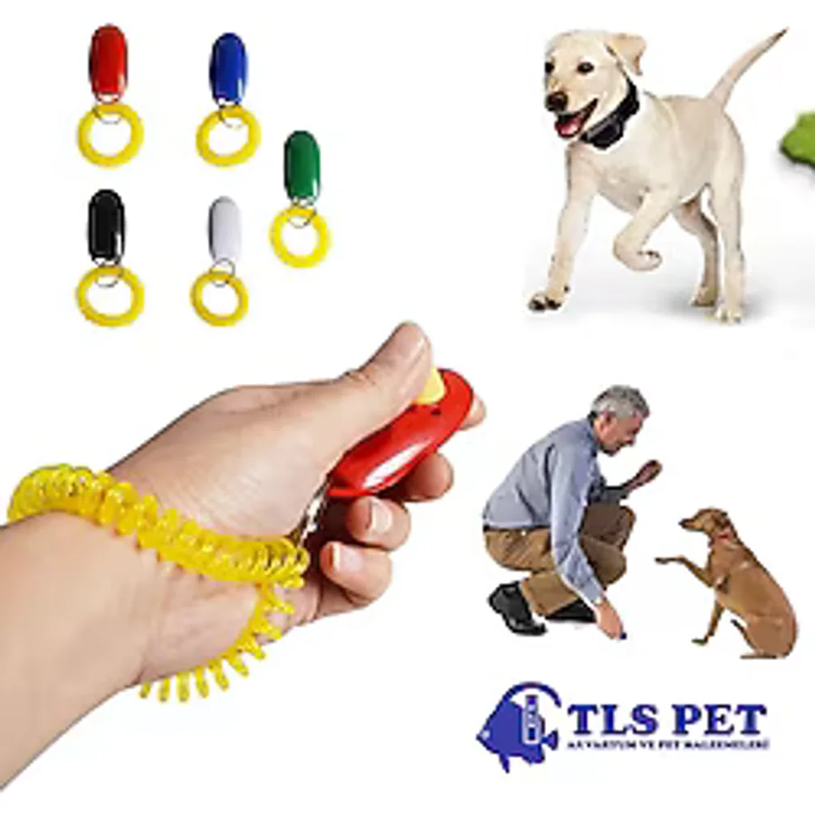 Köpek Eğitim Aparatı Clicker Klik