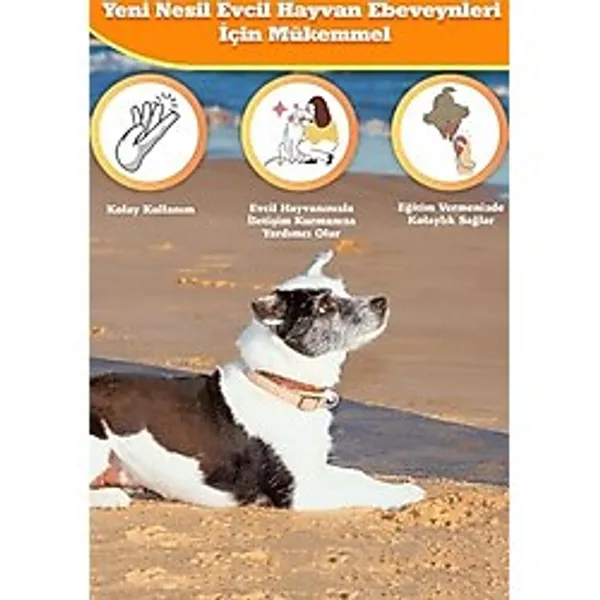 Köpek Eğitim Clicker Uyarıcı Çağırıcı Anahtarlık Köpek Boyun Tasması Köpek Tuvaleti Köpek Yatağı