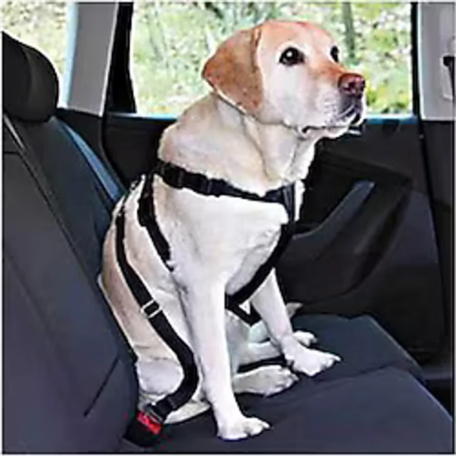 Köpek Emniyet Kemeri Medium 50-70 Cm