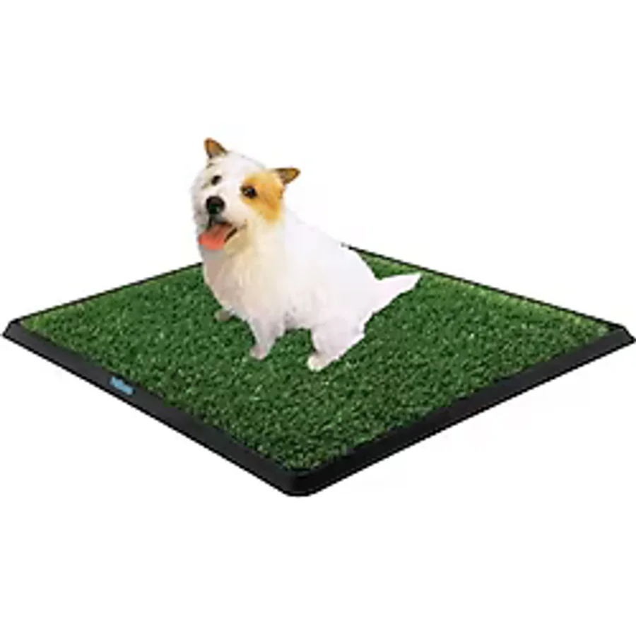 Köpek Tuvalet Eğitim Seti