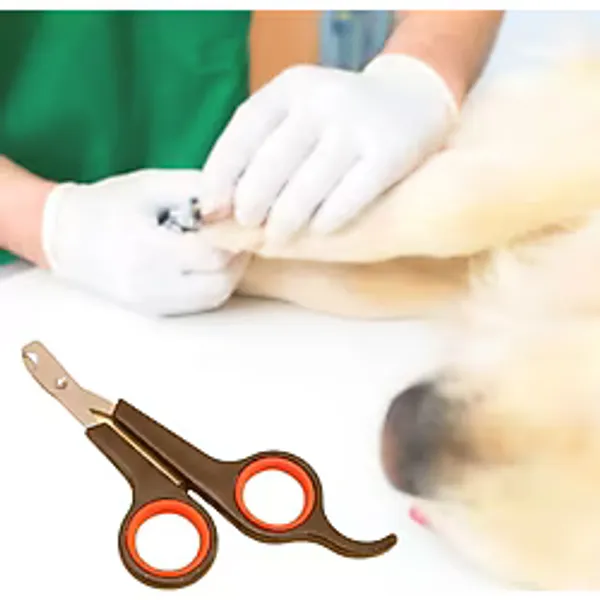 Küçük Çelik Uçlu Kedi Köpek Evcil Hayvan Tırnak Makası Pati Bakım Aleti Ergonomik Kaymaz Sap (5477)