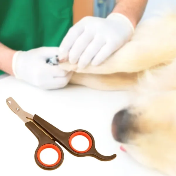 Küçük Çelik Uçlu Kedi Köpek Evcil Hayvan Tırnak Makası Pati Bakım Aleti Ergonomik Kaymaz Sap (5264)