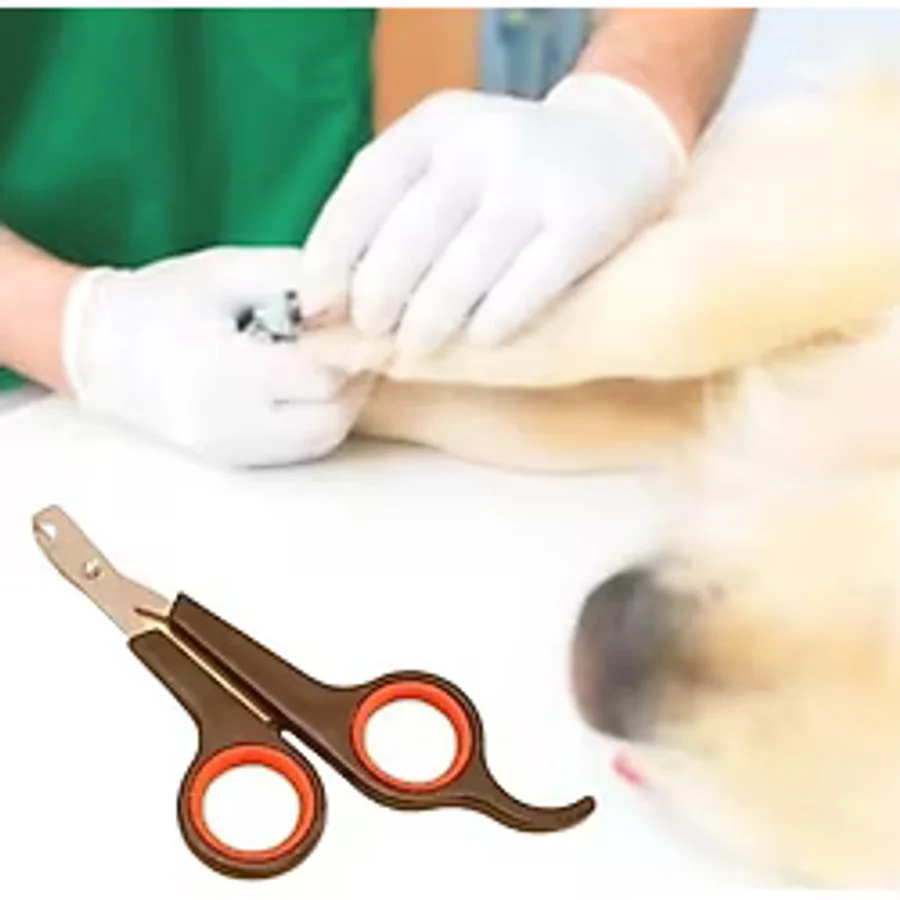 Küçük Çelik Uçlu Kedi Köpek Evcil Hayvan Tırnak Makası Pati Bakım Aleti Ergonomik Kaymaz Sap-1 Adet Fiyatı