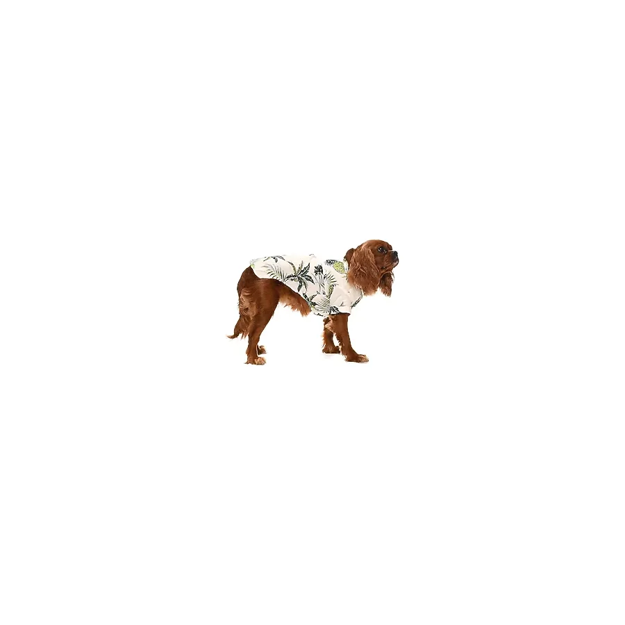 Küçük ve Orta Irk Köpek Gömlek Maija - Köpek Kıyafeti