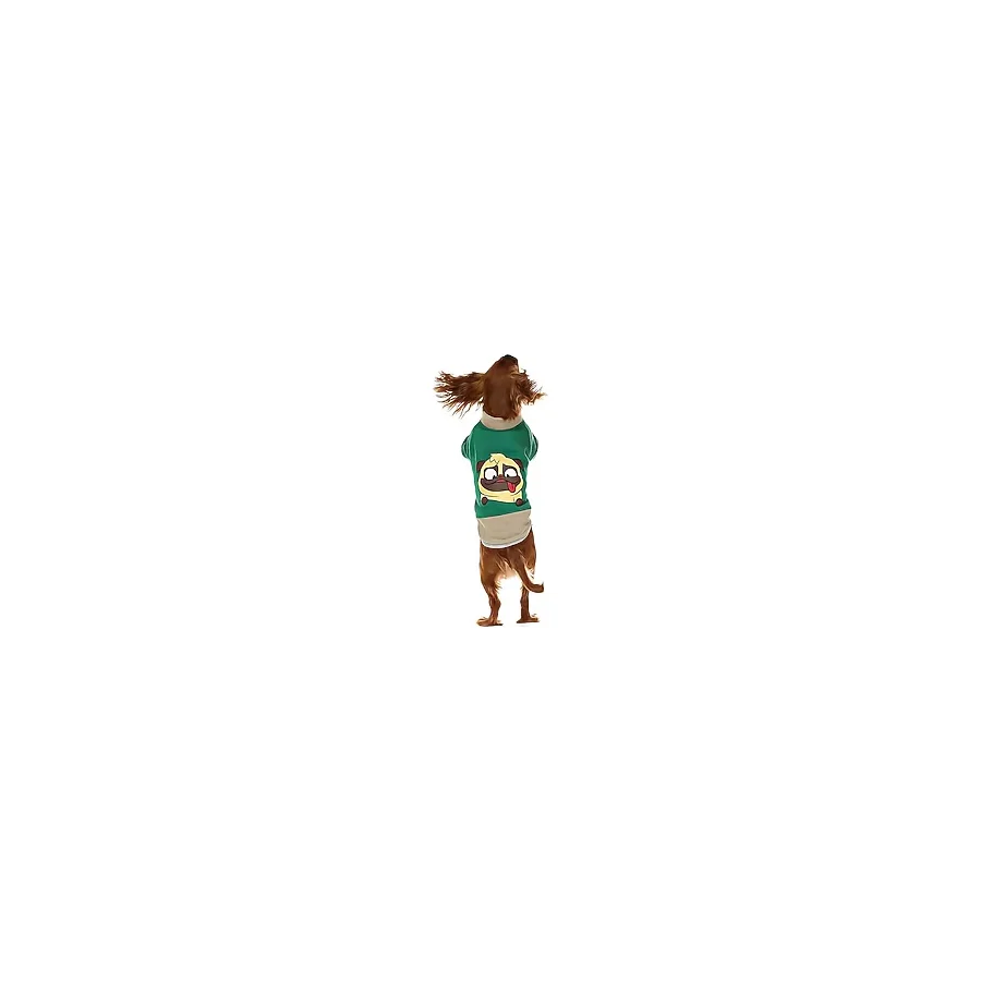 Küçük ve Orta Irk Köpek Sweatshirt - Ingo Yeşil - Köpek Kıyafeti