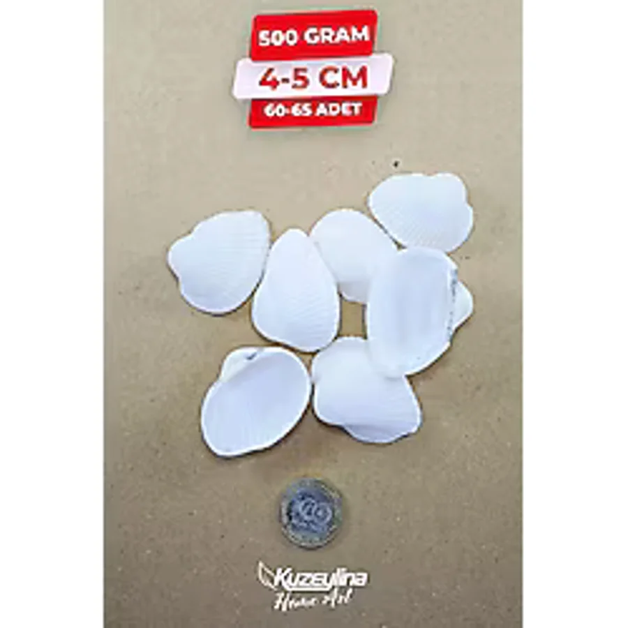 Kuzeylina Doğal Deniz Kabuğu 500 Gram Büyük Boy 4-5 cm