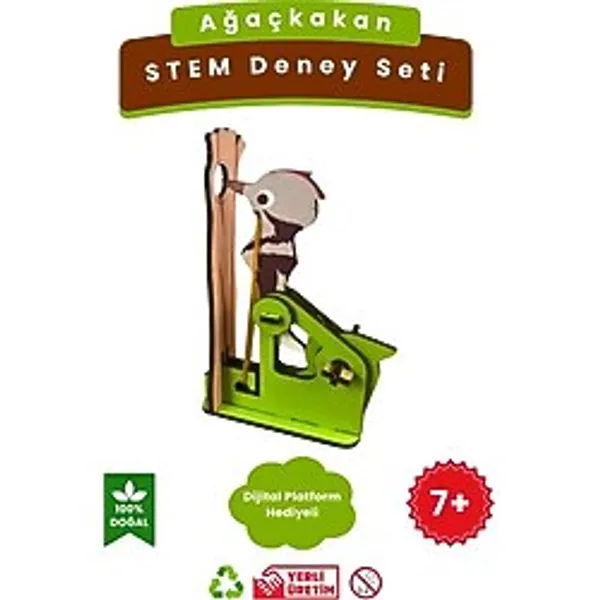 Lapin Deney Atölyesi Ağaçkakan - Kendin Yap Stem Bilim ve Deney Seti