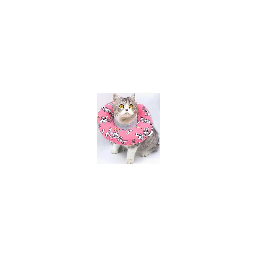Lepus Kedi Köpek Yakalık Pembe Small No:6