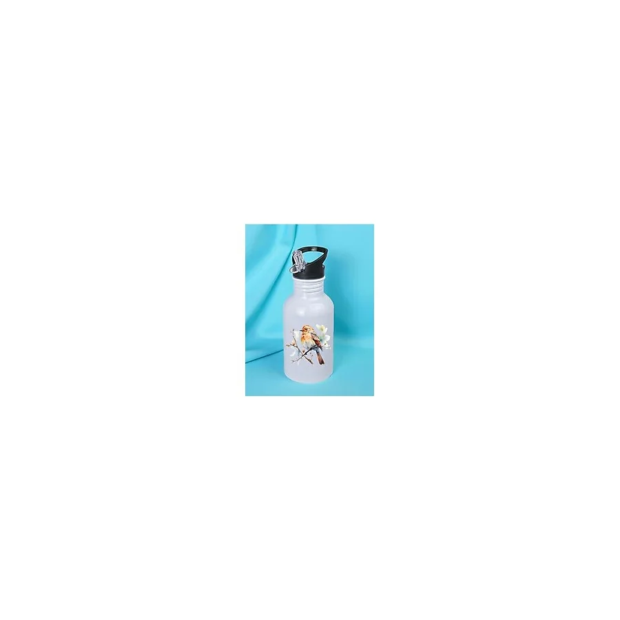 lili hediyelik Dalda Kuş Baskılı Matara Suluk 600 ml Sporcu Suluğu Beyaz, LH9083274632986523523234