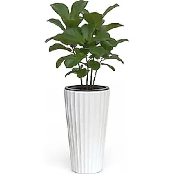 Lilyum Dekoratif Çizgili Saksı Vazo & Şemsiyelik Beyaz Renk 58 cm Hazneli