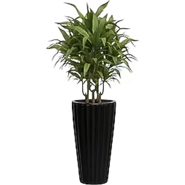 Lilyum Dekoratif Çizgili Saksı Vazo & Şemsiyelik Siyah Renk 58 cm Hazneli
