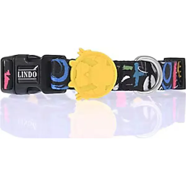 Lindo Apollo Large 46-70 cm Köpek Boyun Tasması