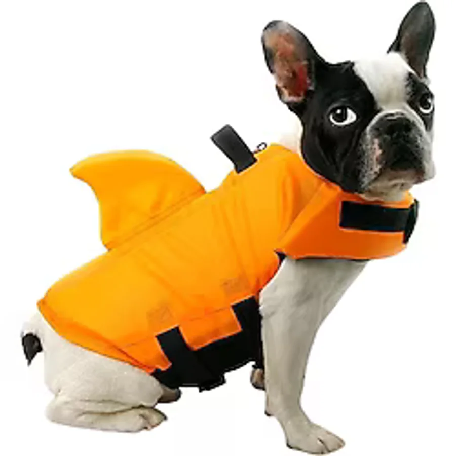 Lion Shark Köpek Can Yeleği Xxl