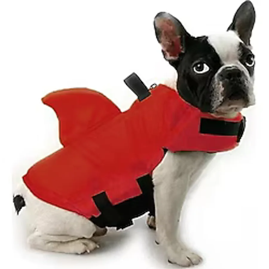 Lionpet Shark Köpek Can Yeleği L
