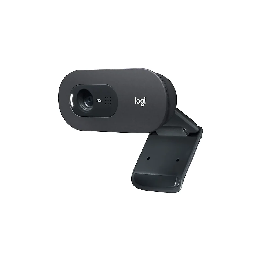 Logitech C505 960-001364 Mikrofonlu Webcam