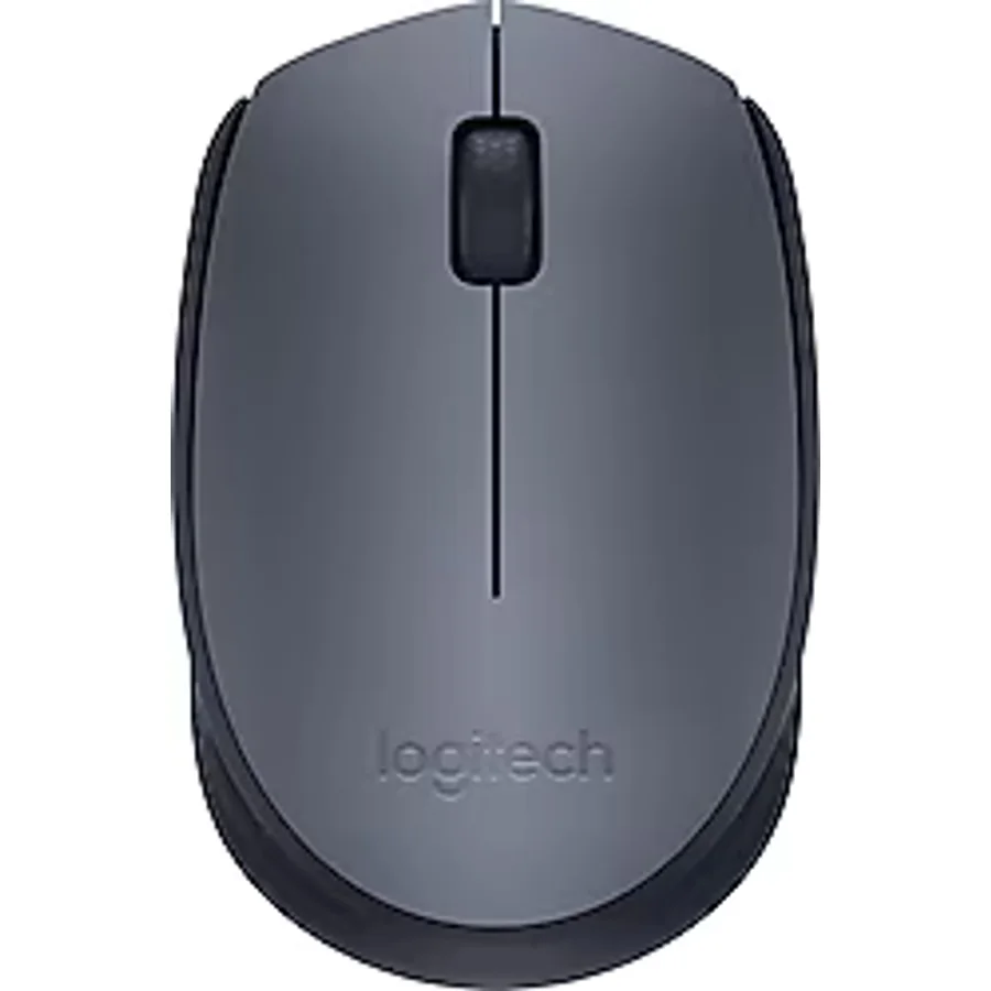 Logitech M170 Optik Wireless Mouse