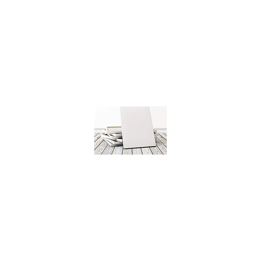 Lona Profesyonel Tuval 80x120 cm