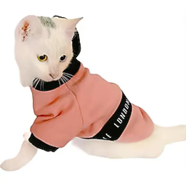 London Pineapple Kapsonlu Sweatshirt Kedi Süeteri Kedi Kıyafeti