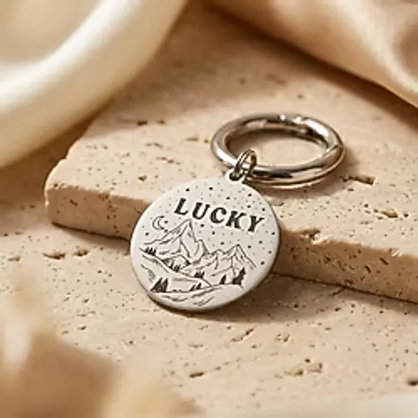 Loren Gift Isme Özel Çelik Kedi Köpek İsimlik Künyesi Gümüş