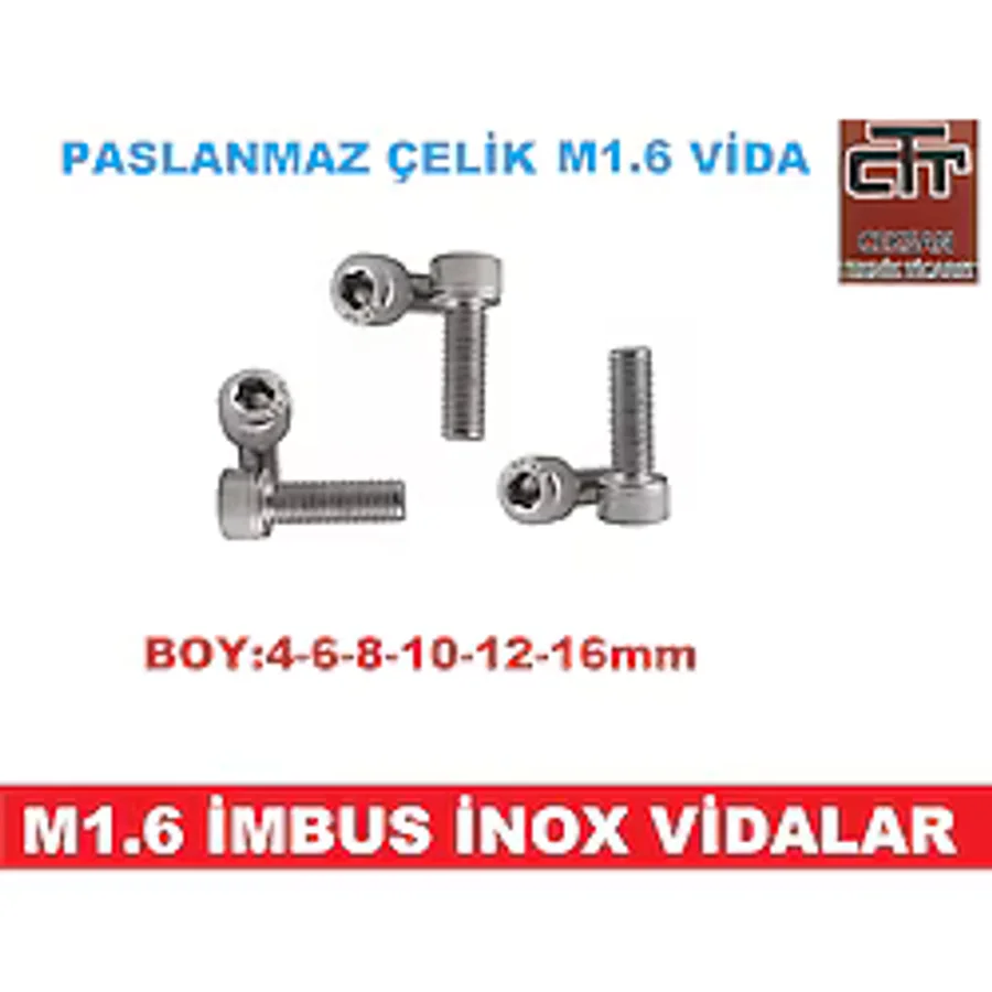 M1.6 Imbus Minik Mikro Vida Inox Adet ve Boy Seçenekli 48 Adet-4 MM