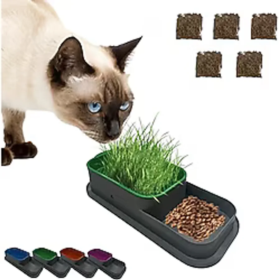 MADPET Topraksız Kedi Çimi Kabı Turuncu - 5 Paket Çim Tohumlu Hidroponik Çim Yetiştirme Seti - Kediler için Doğal Çim Yetiştirme Kutusu - Evde Kolay Çimlendirme ve Sindirim Desteği