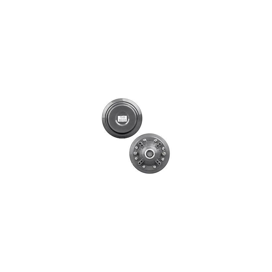 Magıcvoıce Td-300 Max 400 Watt Stüdyo Aksesuarı Driver Unıt