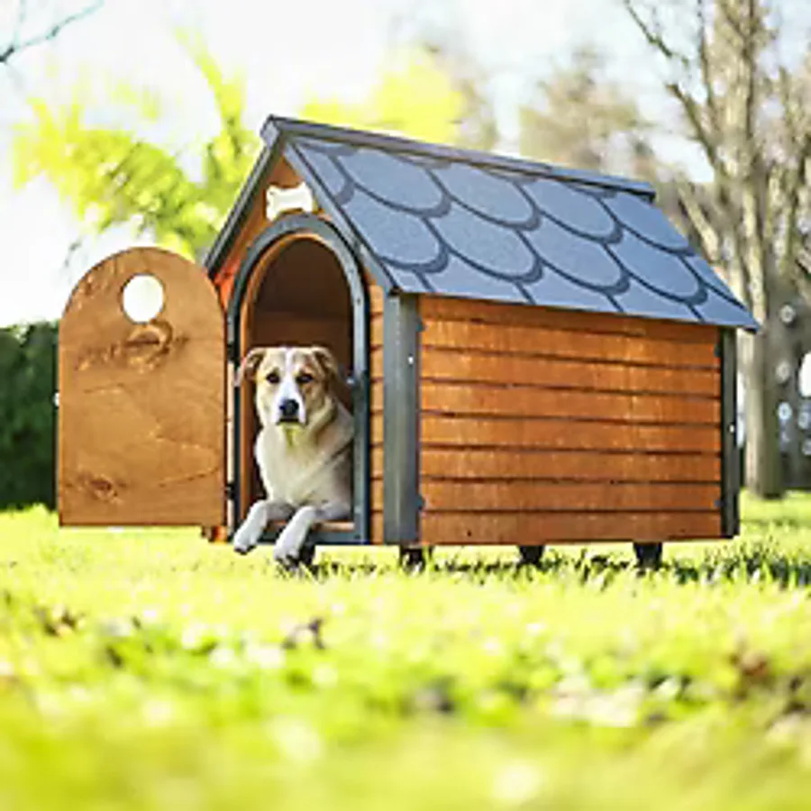 Mandu Ahşap Köpek Kulübesi