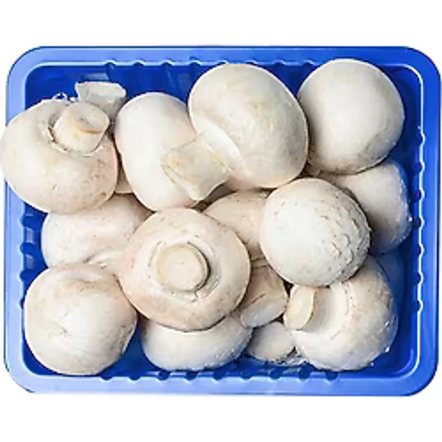 Mantar Tabak 300 G