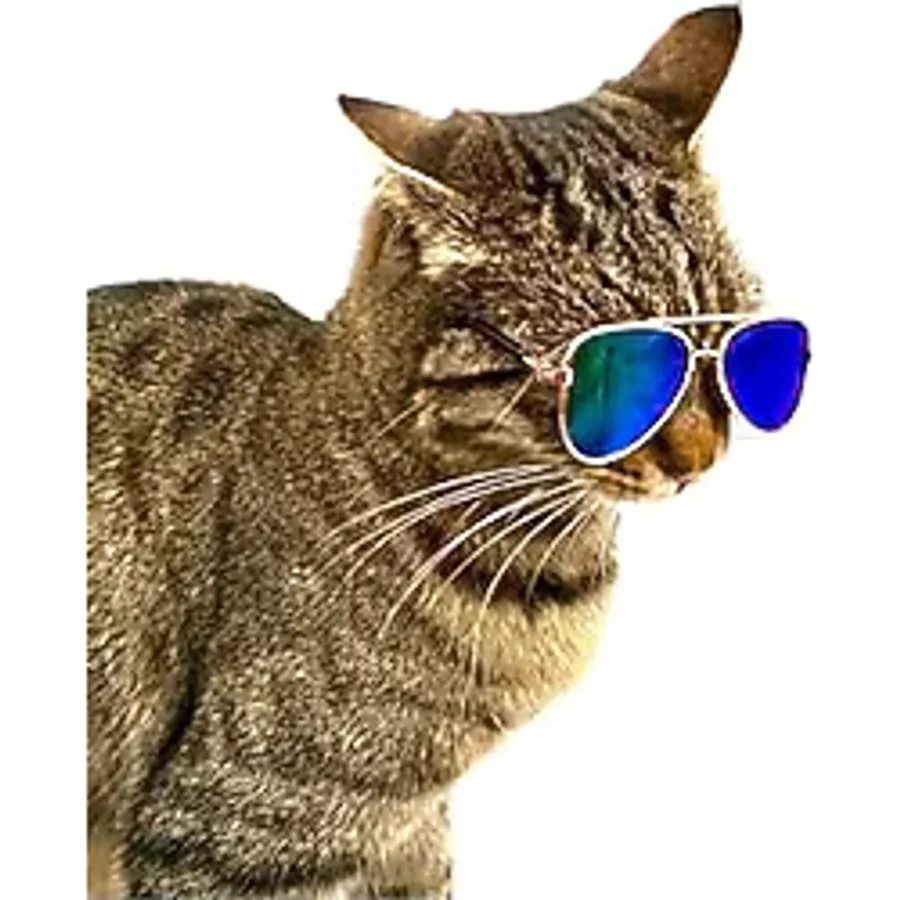 Mavi Çok Renkli Damla Model Kedi Köpek Gözlüğü