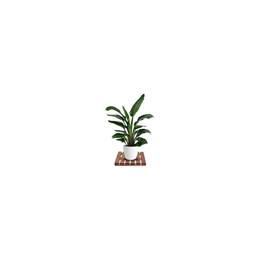 mavienerji Tekerleksiz Ahşap Saksı Altlığı Damacana Tüp Saksı Sehpası 30x30 Cm