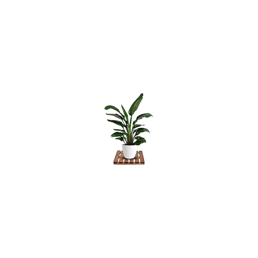 Mavitrend Tekerleksiz Ahşap Saksı Altlığı Damacana Tüp Saksı Sehpası 30x30 Cm Kahverengi