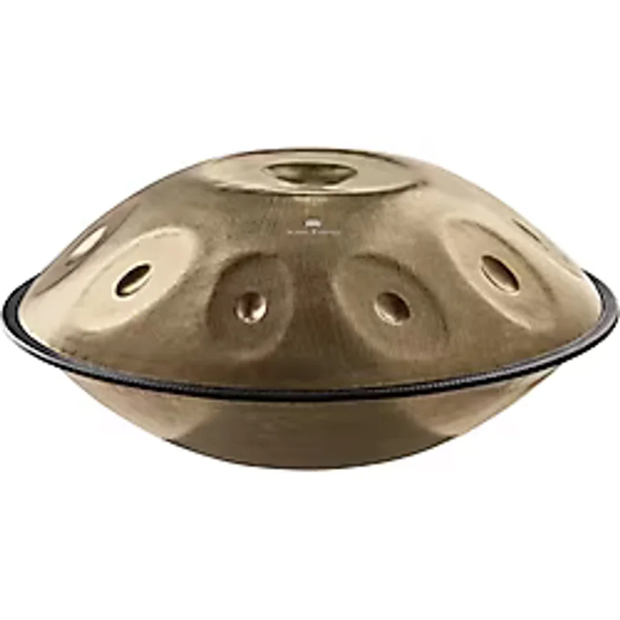 Meinl Sonic Energy HPSTL100 Stainless Steel 10 Notes D Kurd Handp