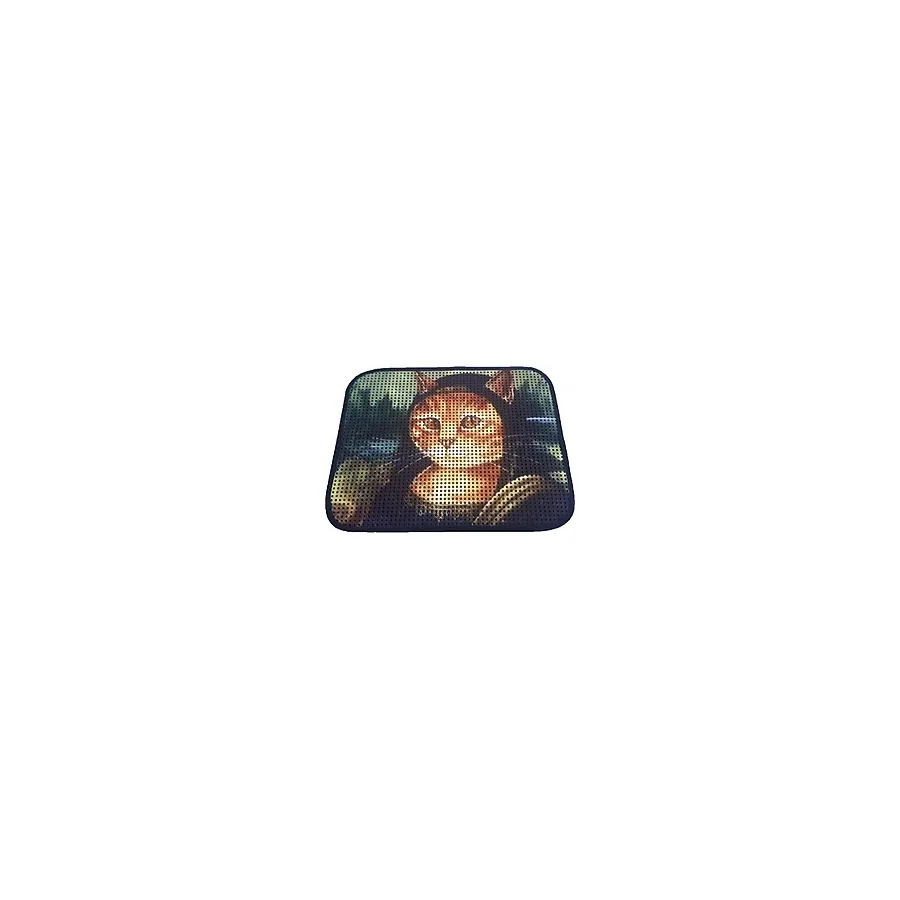 Miapet Elekli Desenli 60x45 cm Kedi Tuvalet Önü Paspası - Mona