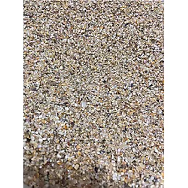 Midye Kırığı Akvaryum Kumu 1 Kg