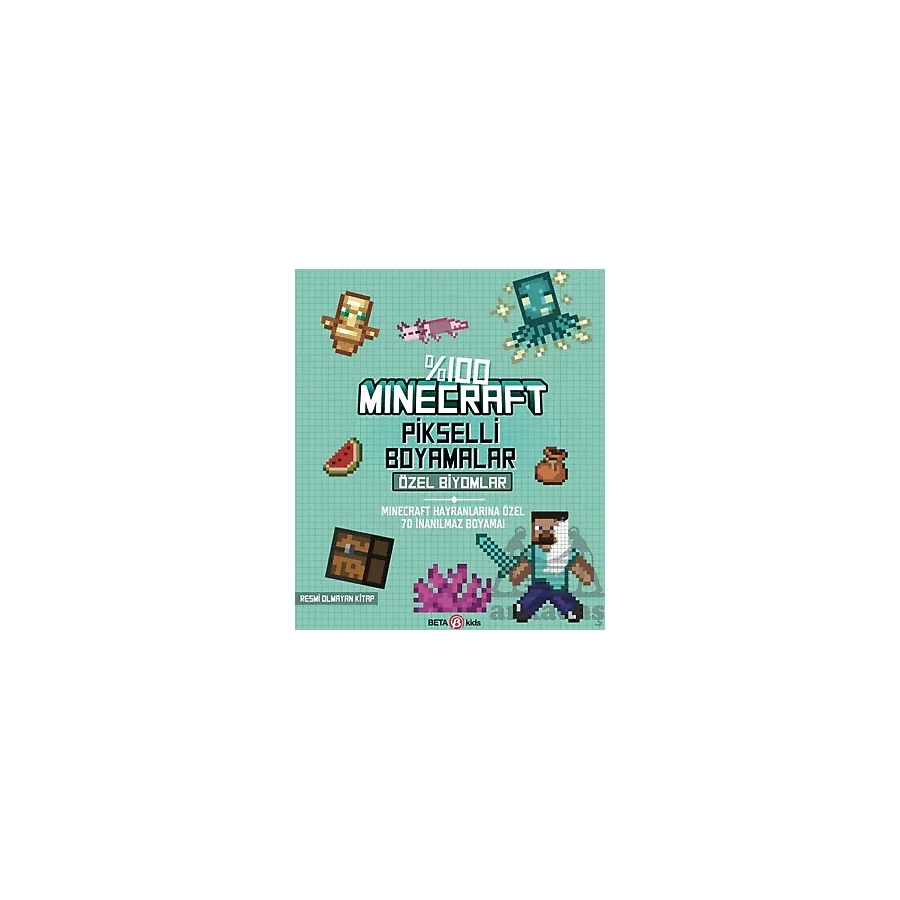 Minecraft Pikselli Boyama - Özel Biyomlar - Kolektif