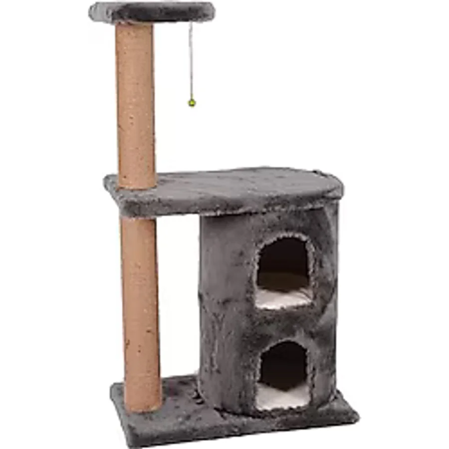 Mio Kedi Tırmalama, Myra, Gri