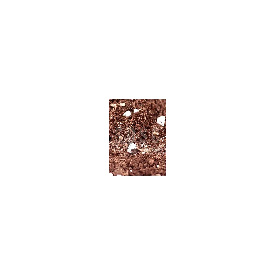 Mix Ithal Torf Cocopeat Perlit Özel Karışım Saksı Harcı Çiçek ve Bitki Toprağı 10 Lt