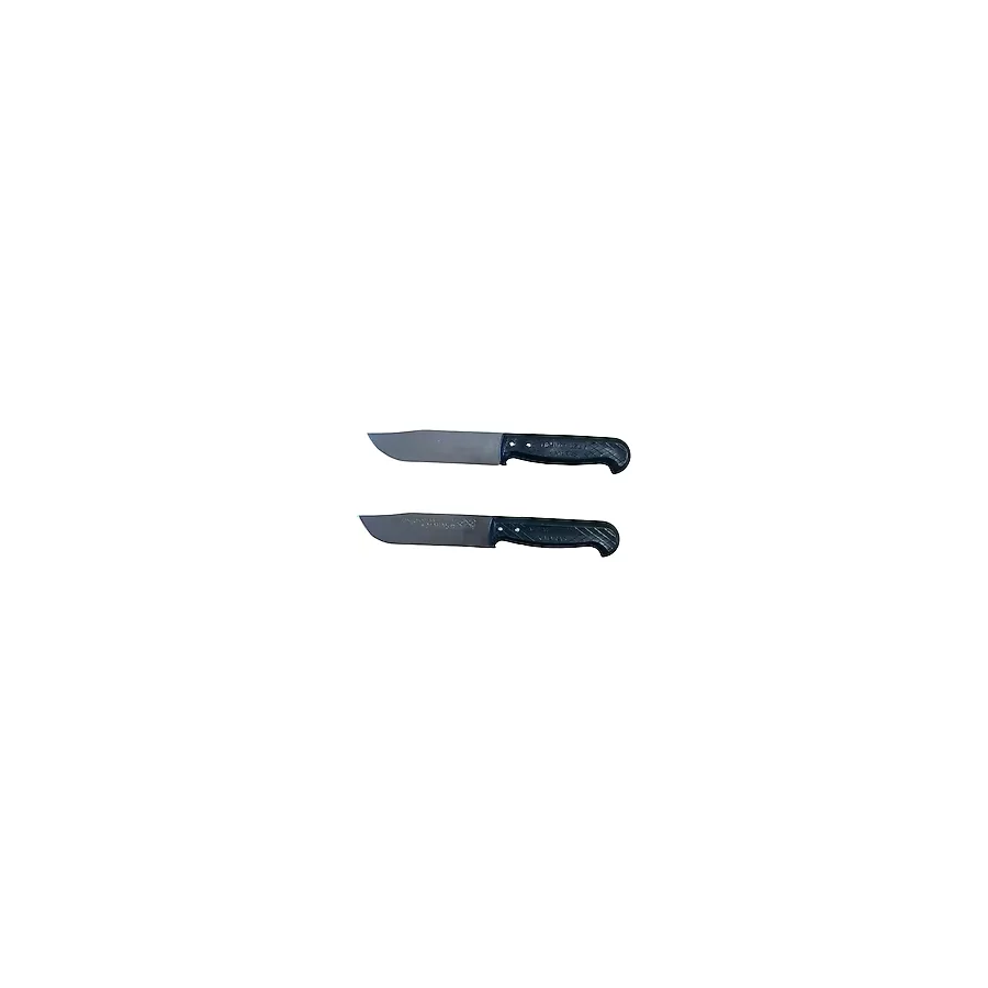 Mobilreyon Mutfak Bıçağı 2'li Set,plastik Saplı Bıçak 23 Cm-maraş