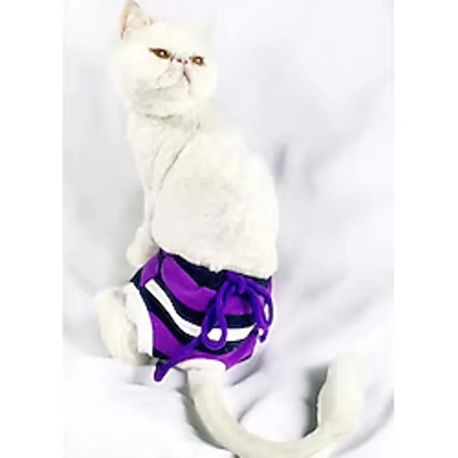 Modern Purp Kemique's Secret Kedi Ic Camasiri Regl Kulot Don