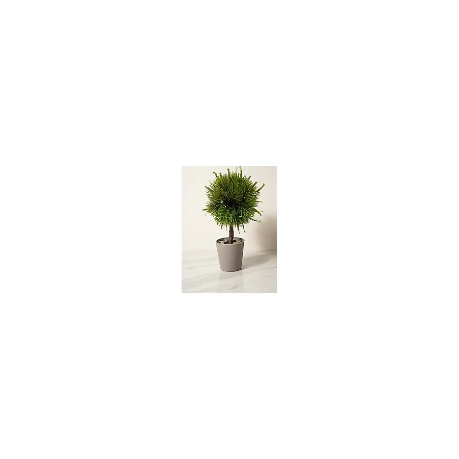 Modern Top Formlu Yapay Çam Bonsai, Taş Dolgulu Gri Saksıda Mini Ağaç, Çalışma Masası ve Raf Dekorasyonu