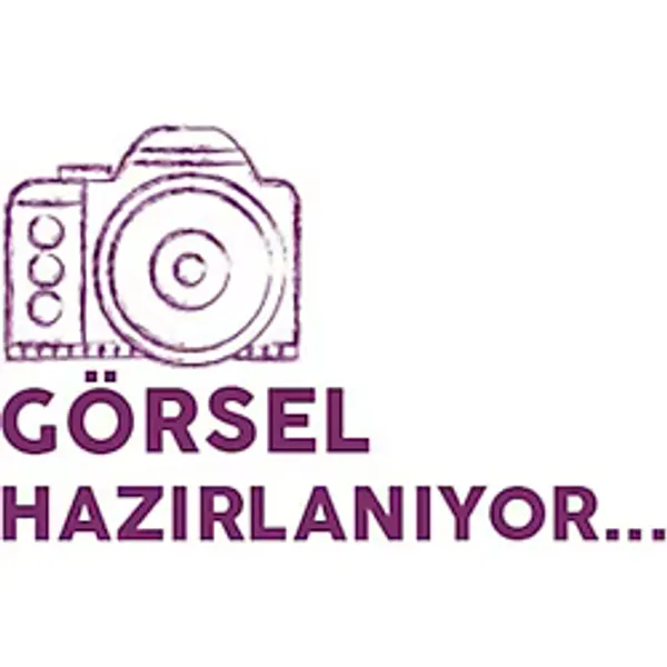 MOTOSİKLET & OTOMOBİL FREN HİDROLİK YAĞI DOT 4 NETEX 500ML