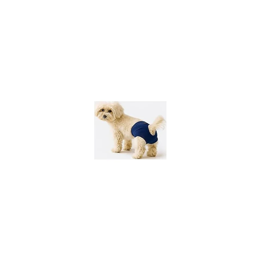 MPZ PETS Kedi ve Köpek Kıyafeti & Külodu Lacivert Külot L