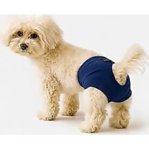MPZ Pets Kedi ve Köpek Külodu, L, navyblue-panties, Lacivert