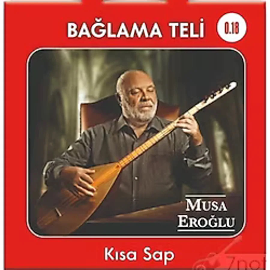 Musa Eroğlu Kısa Sap Bağlama Teli