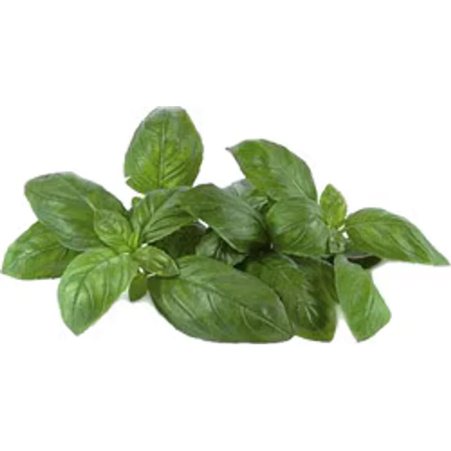 Mutlu Sebzeler 25 gr 1 Paket Yeşil Fesleğen