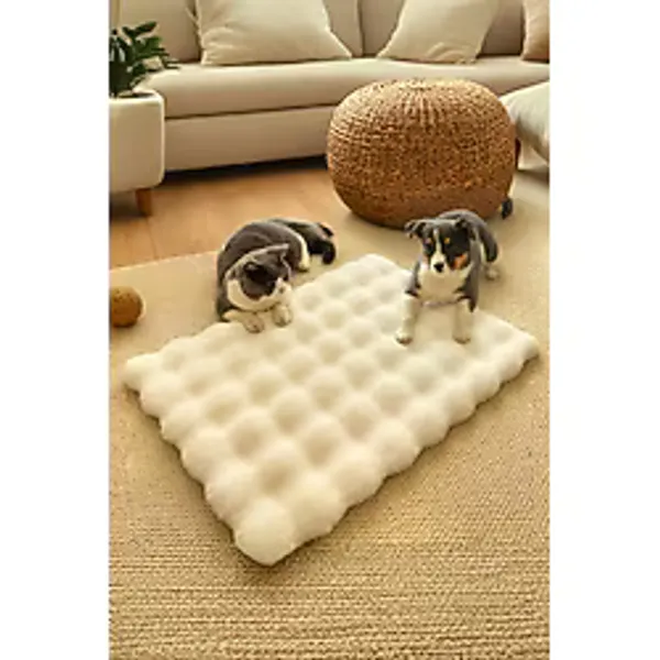 My Evilla Peluş Yumuşak Yıkanabilir Bubble Kedi Köpek Yatağı Minder krem